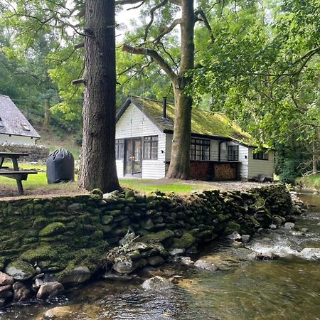 Cuckoo Cabin, Tyn Y Cwm Eglwys-Fach Dış mekan fotoğraf