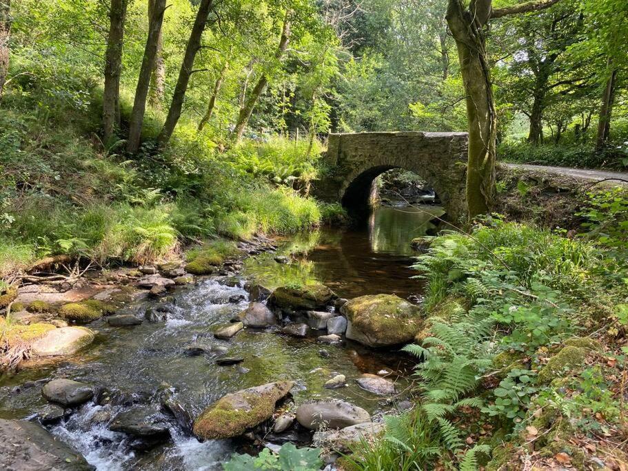 Cuckoo Cabin, Tyn Y Cwm Eglwys-Fach Dış mekan fotoğraf