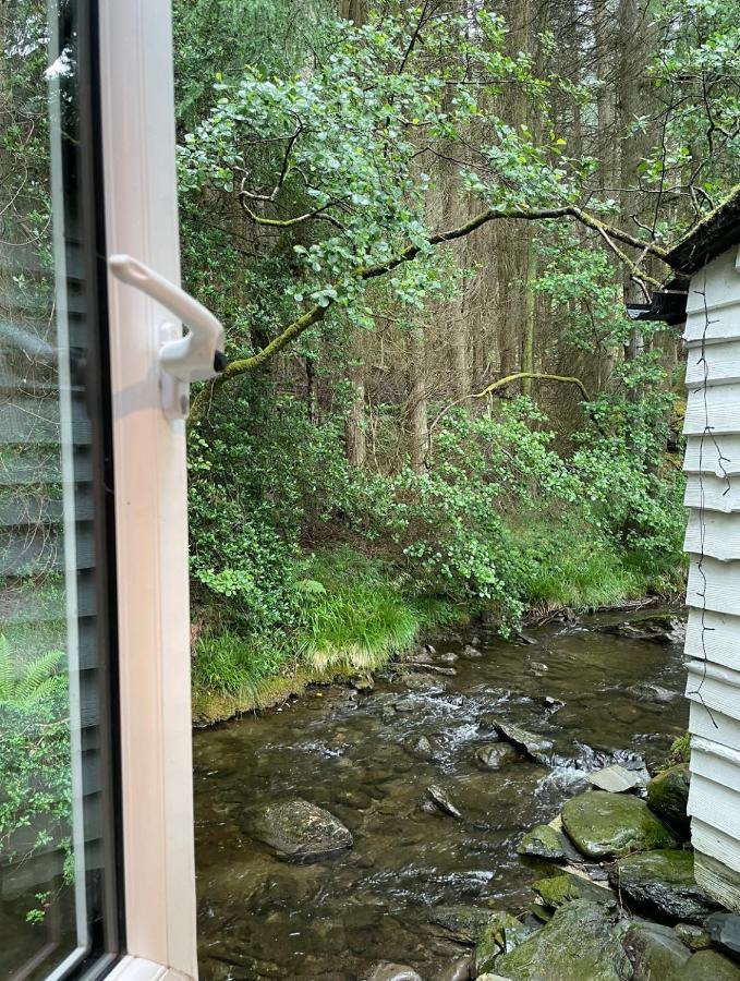 Cuckoo Cabin, Tyn Y Cwm Eglwys-Fach Dış mekan fotoğraf