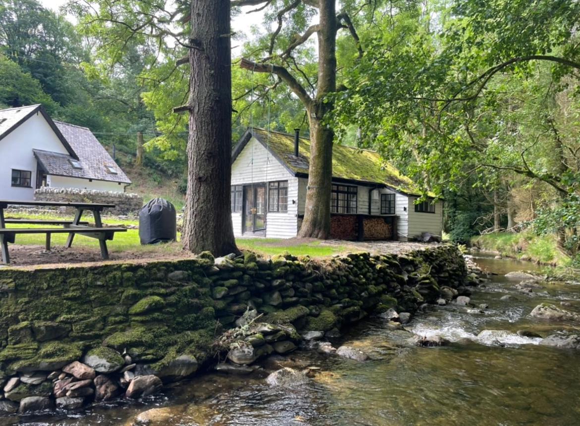 Cuckoo Cabin, Tyn Y Cwm Eglwys-Fach Dış mekan fotoğraf